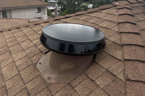 Shingles 1