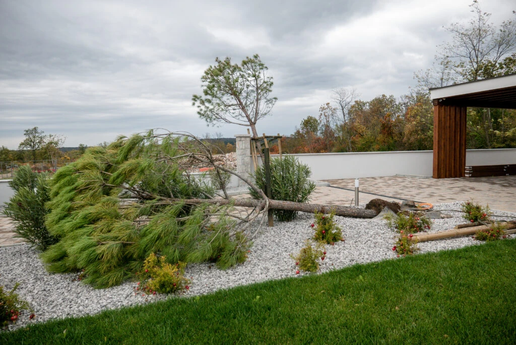 5 Tips for Monsoon Season