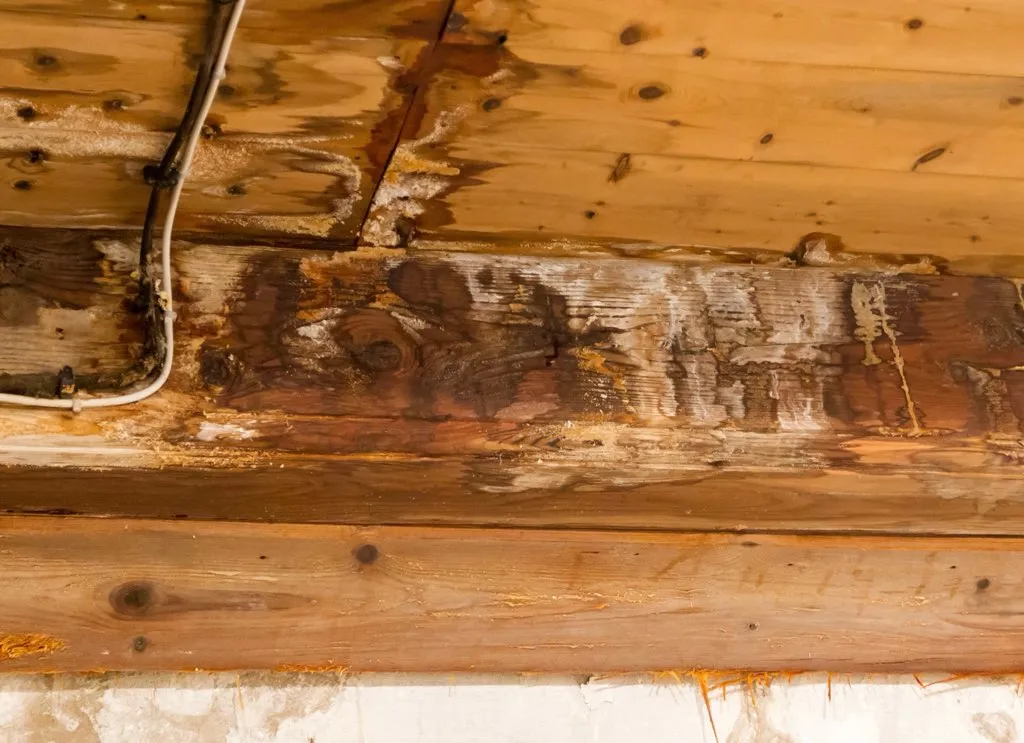 When You Take Down Your Holiday Lights, Check Your Roof!