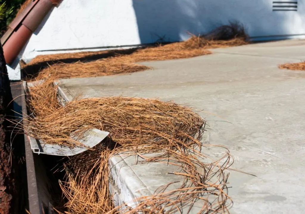 When You Take Down Your Holiday Lights, Check Your Roof!